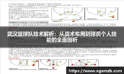 星空·综合体育中国官网