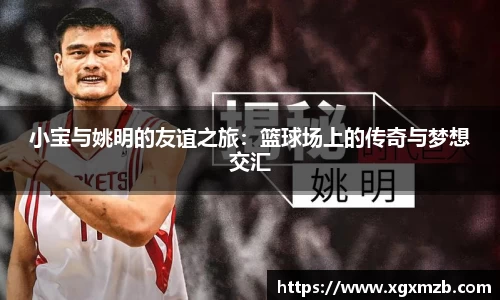 小宝与姚明的友谊之旅：篮球场上的传奇与梦想交汇