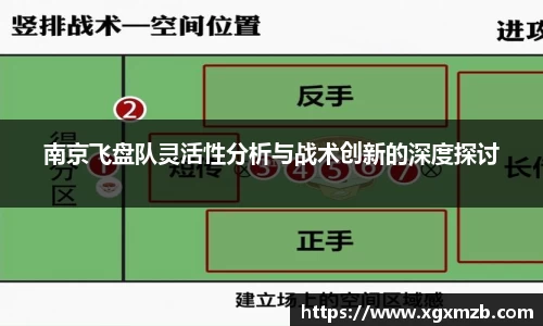南京飞盘队灵活性分析与战术创新的深度探讨